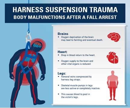 harness-suspension-trauma