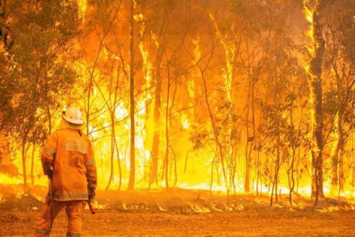 https://sourceable.net/australia-must-improve-bushfire-development-control-and-building-practices/