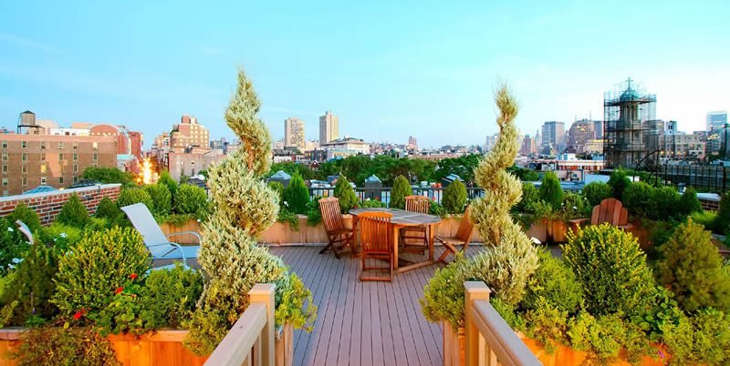https://sourceable.net/rooftop-gardens-taking-green-spaces-to-new-heights/