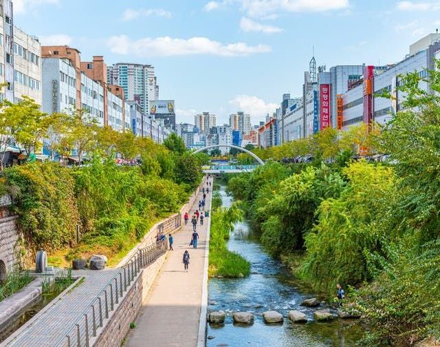 It takes more than words and ambition: here’s why your city isn’t a lush, green oasis yet