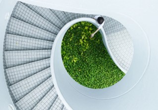 https://sourceable.net/three-green-building-trends-that-are-propelling-the-construction-industry-into-the-future/