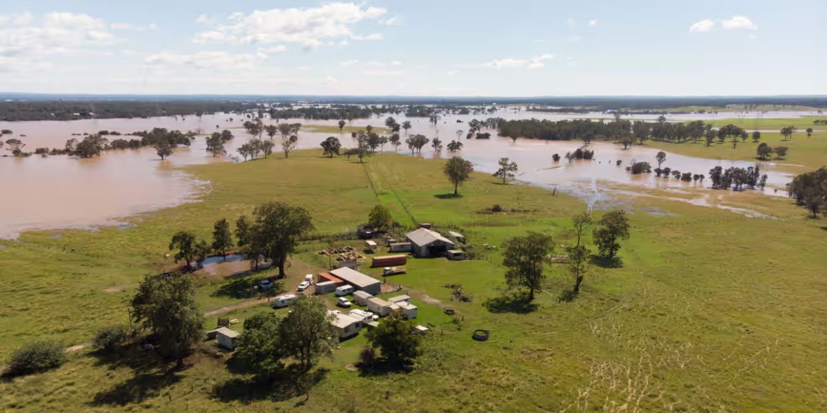 https://sourceable.net/nsw-blocks-10400-flood-prone-homes-in-western-sydney/
