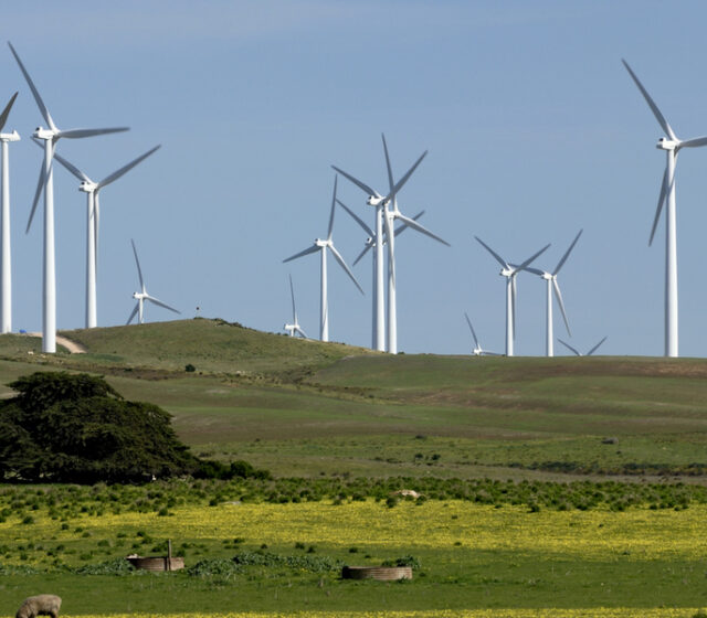 Australia’s Large Solar and Wind Investment Slumps