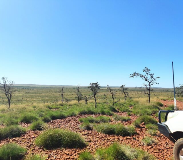 Western Australia Green Lights First Project in Huge Renewable Development