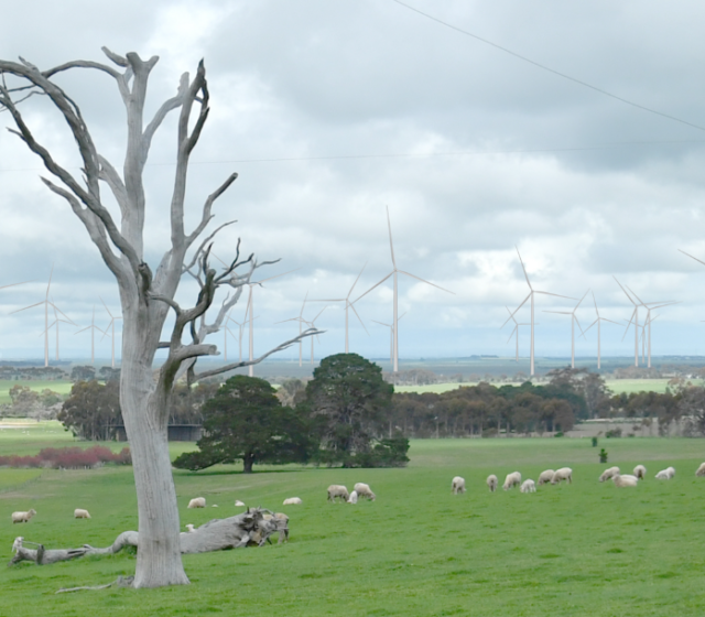 Australia’s Largest Wind Farm Goes Live