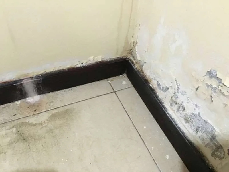 https://sourceable.net/melbournes-inner-and-urban-growth-areas-are-hotspots-for-housing-water-damage/
