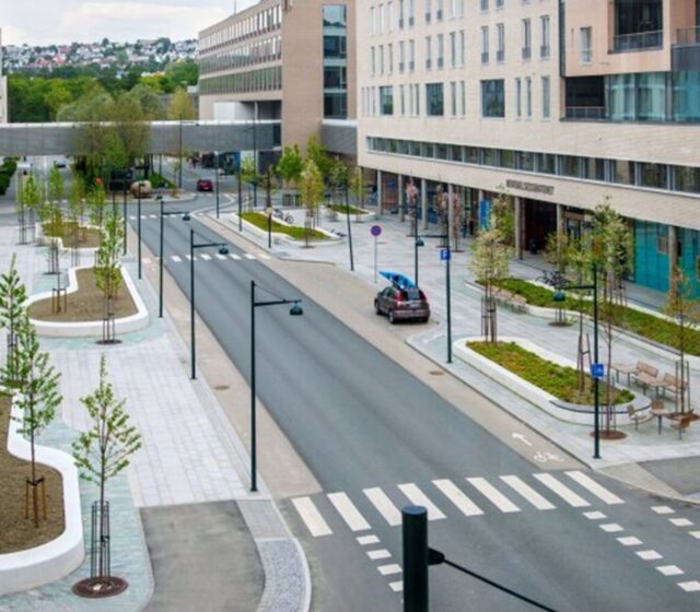 “When Universal Design Leads the Brief”