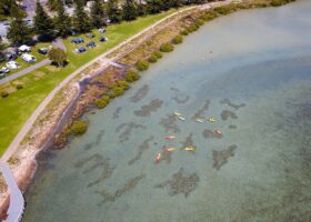 https://sourceable.net/australias-best-landscape-architecture-projects-unveiled/